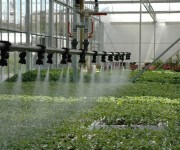 irrigazione10